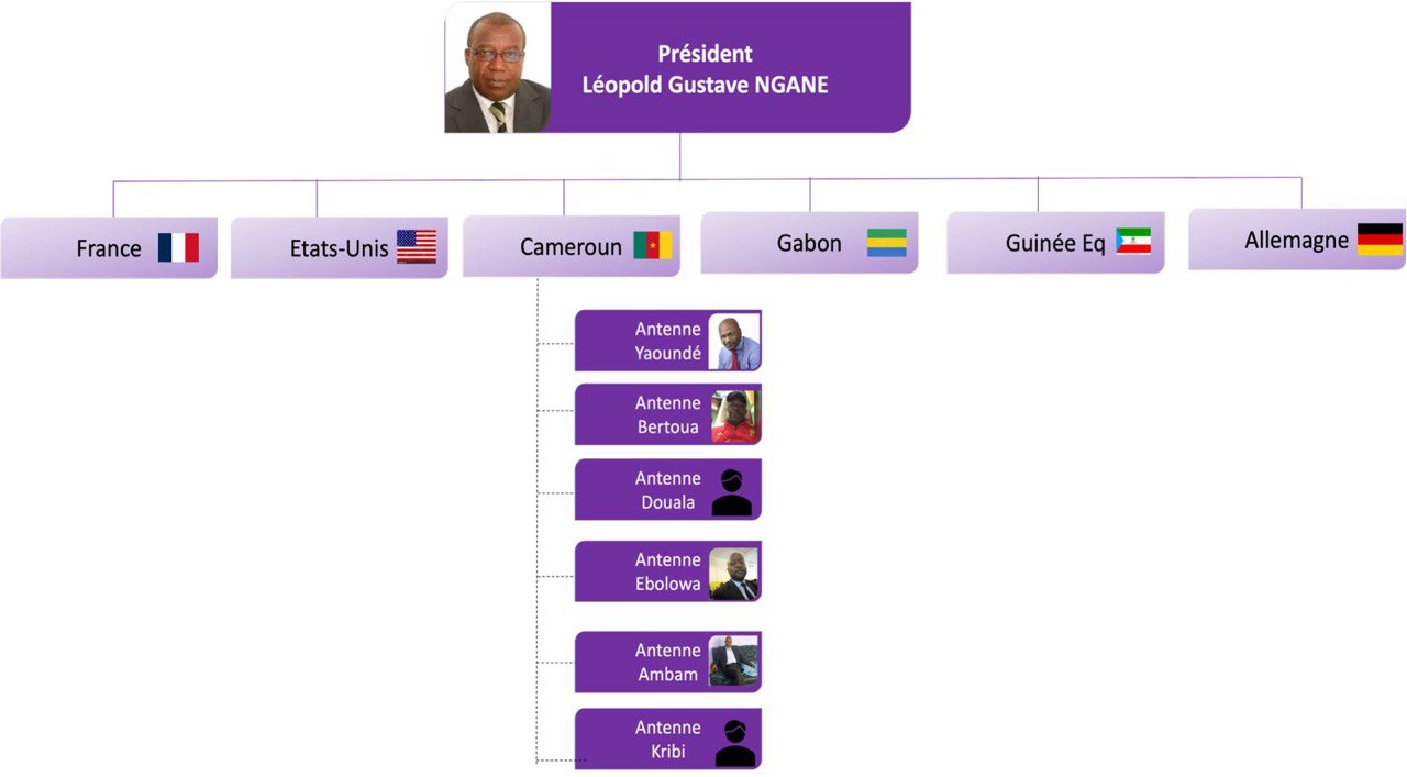 Notre organisation
